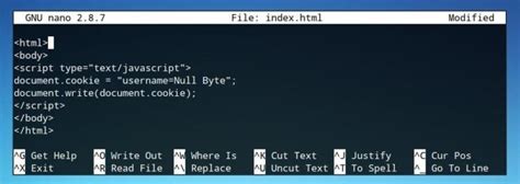 Xss Cookie Stealing Javascript