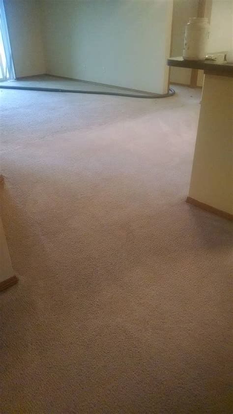 xtremely clean carpet cleaning brandon sd