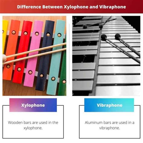 Xylophone And Vibraphone