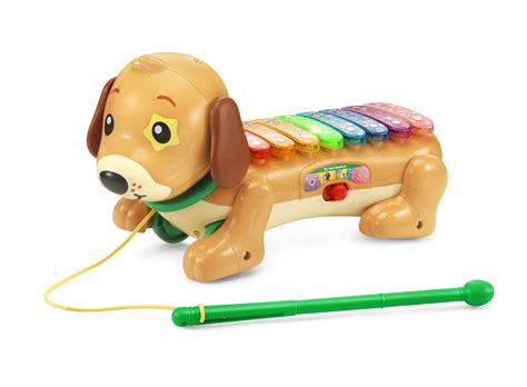 Xylophone Dog