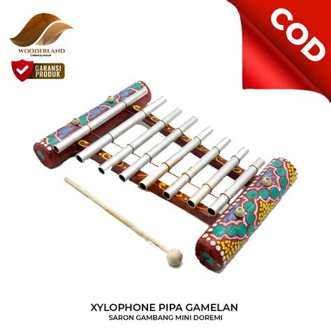 xylophone pipa