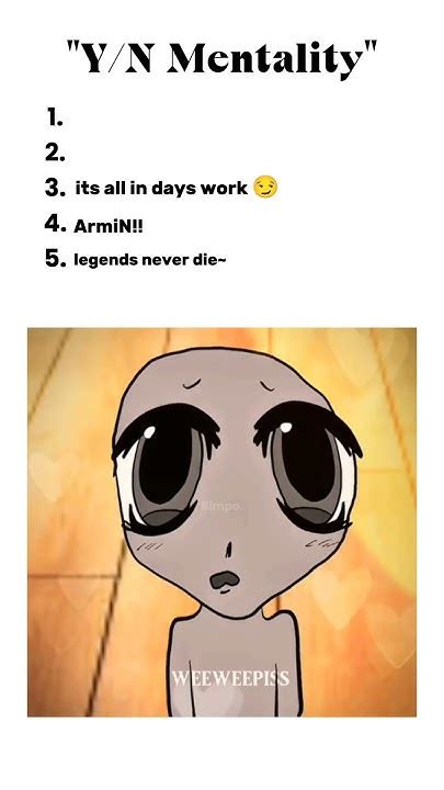 Y/N Meme