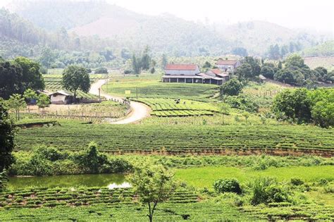 yên thế bắc giang