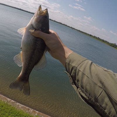 yahola reservoir fishing guides