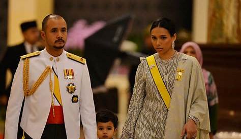 Kenali Tengku Amir Naseer Ibrahim, Putera Angkat YDP Agong Dan Raja