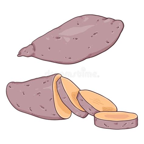 Yam Cartoon Drawing