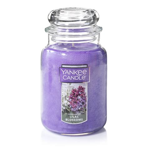 Yankee Large Jar Candle