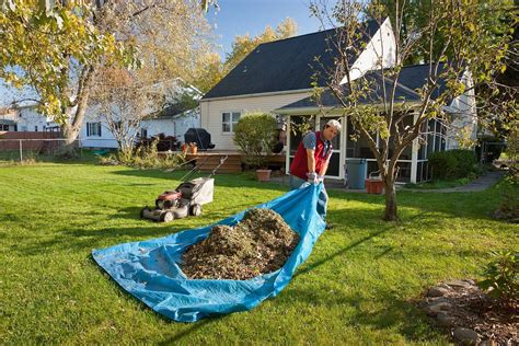 yard cleanup services