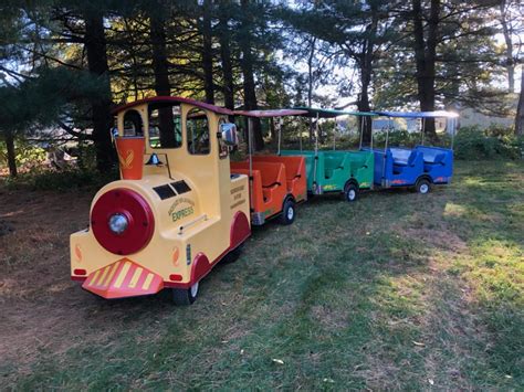yard trains you can ride for sale