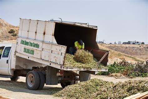 Yard Waste Disposal Boise