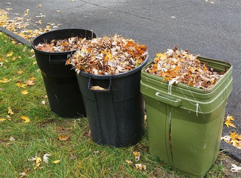 Yard Waste Disposal Duluth Mn