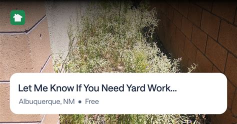 yard work albuquerque nm