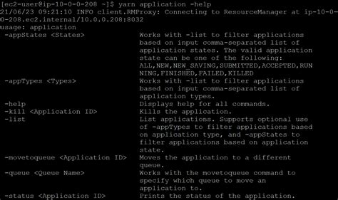 Yarn App Status Command