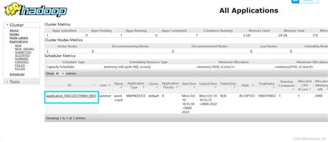 Yarn Application Logs Hadoop