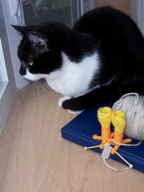 Yarn Harlot Round Toe