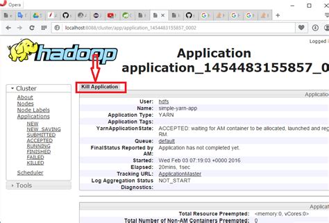 Yarn Kill Application Command