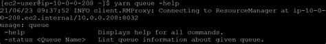 Yarn Queue Commands