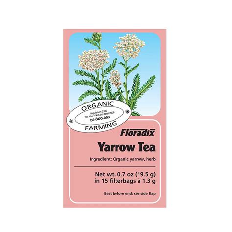Yarrow Tea For Allergies