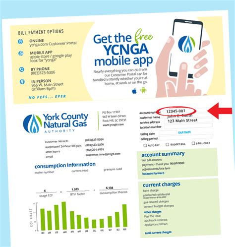 ycnga bill pay