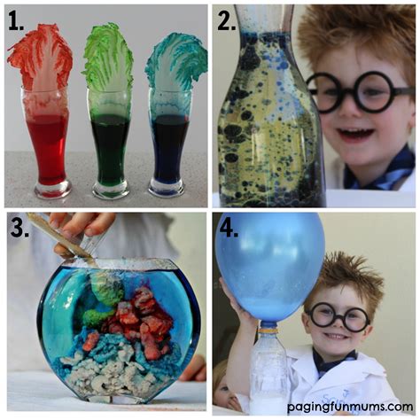 Year 4 Science Experiments At Home