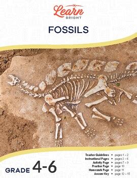 Year 6 Fossils Lesson Plan