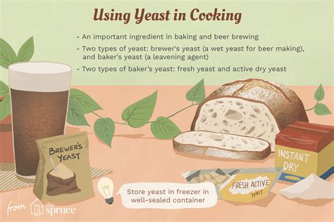 Yeast Definition In Baking