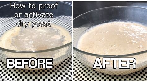 Yeast foamy and active