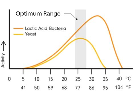 Yeast Starter Temperature