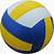 yellow and blue volleyball