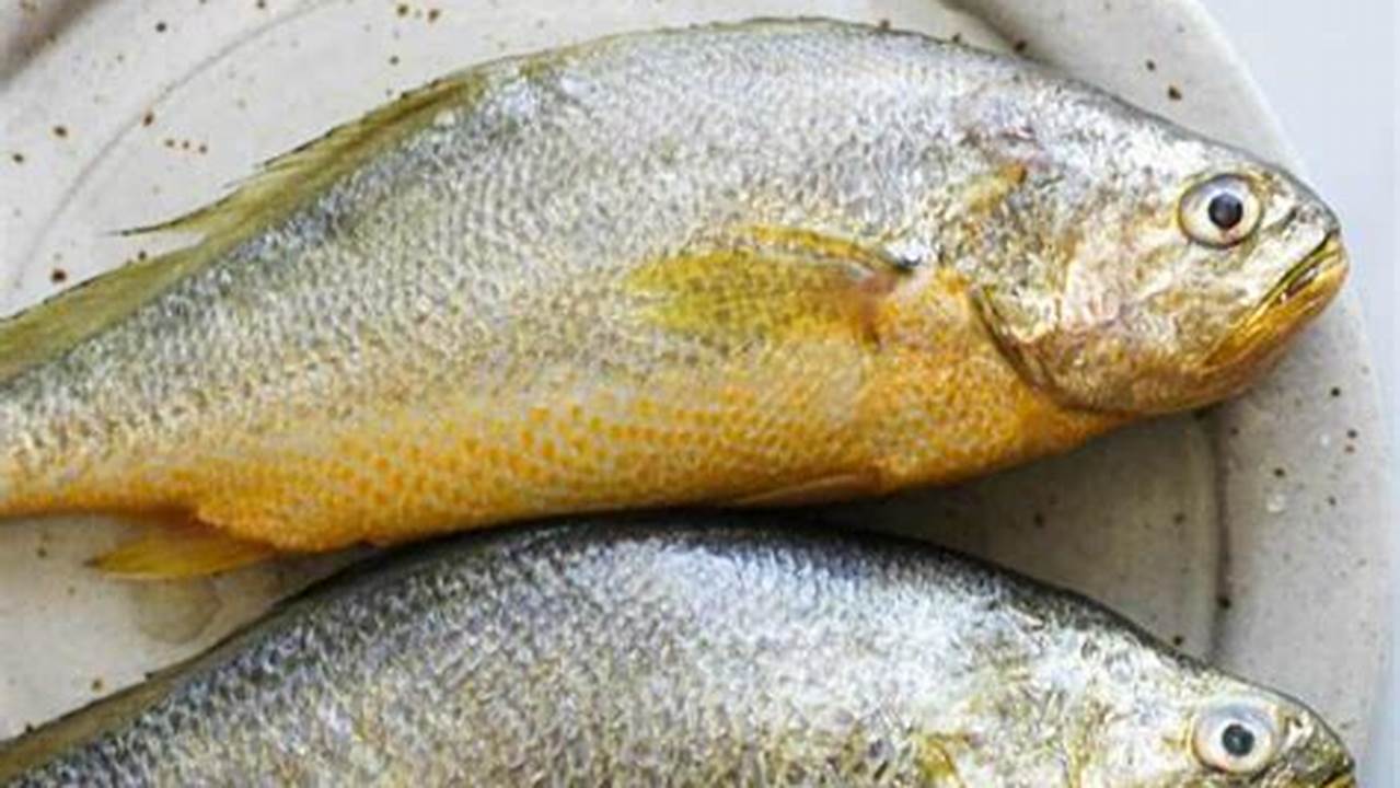 Resep Ikan Kuning: Rahasia Kelezatan Laut yang Terungkap