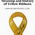 yellow ribbon meaning army