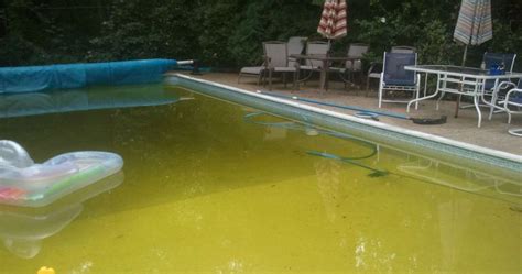 Yellow Algae Pool