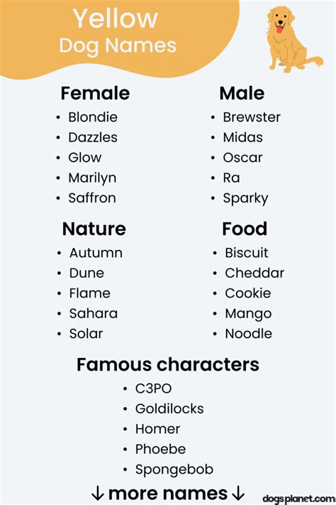 Yellow Colored Dog Names