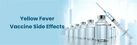 Understanding Yellow Fever Immunisation Side Effects: What You Need to Know
