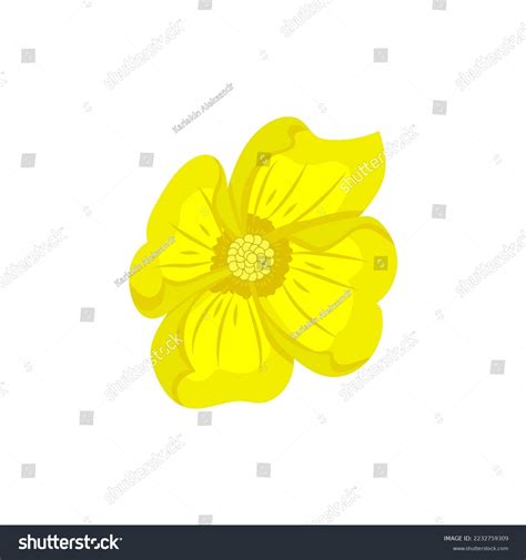 Yellow Flower Drawing Vector