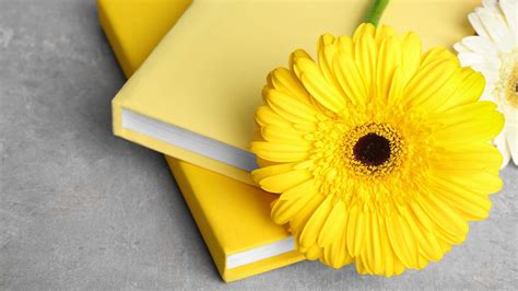 Yellow Flowers Book