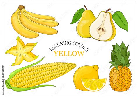 Yellow Fruit Drawing