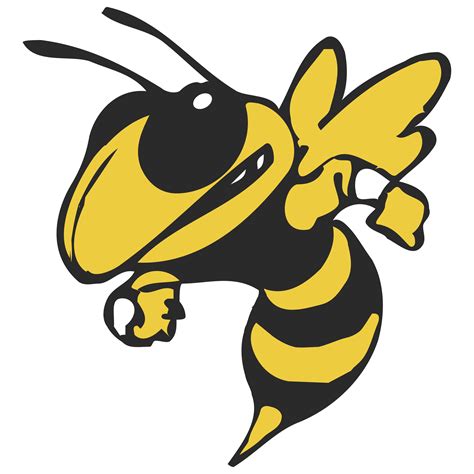 Yellow Jacket Png