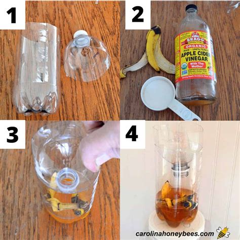 Yellow Jacket Wasp Trap Diy