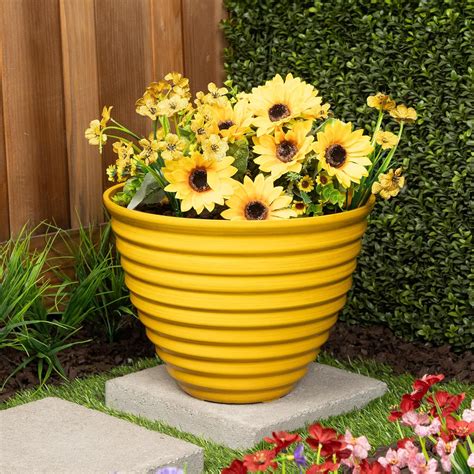 Yellow Planters Indoor