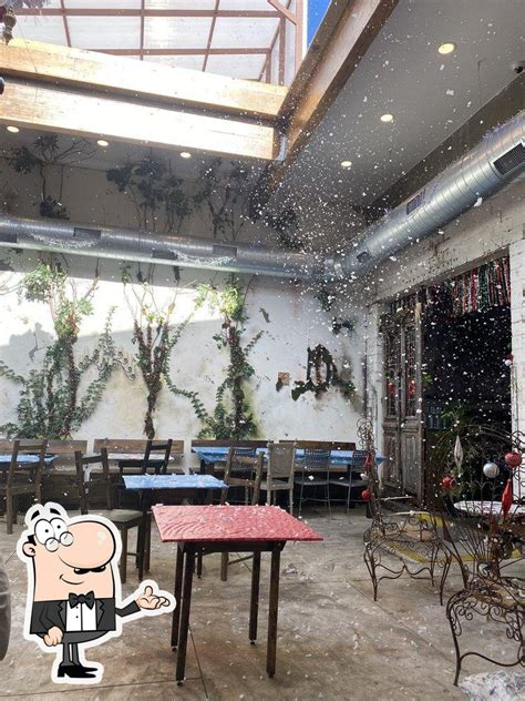 Best Tips for Growing Yellow Rosa Flowers