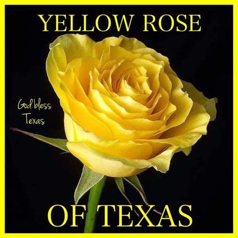 Yellow Rose of Texas History