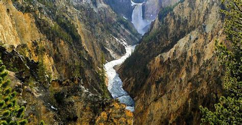 yellowstone day tours from west yellowstone