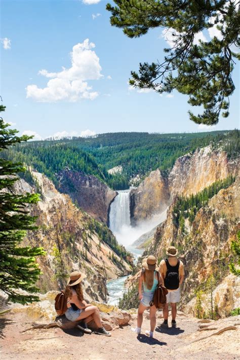 yellowstone in a day tour review
