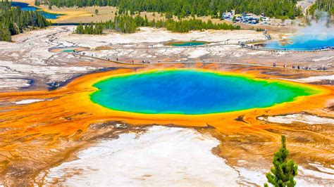 yellowstone national park for kids