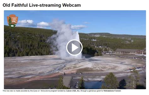 yellowstone national park live stream webcams