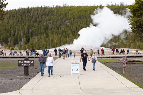 yellowstone national park news and updates