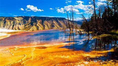 yellowstone national park news today