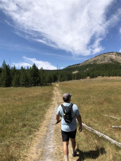 yellowstone national park ranger led hikes