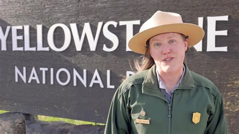 yellowstone national park ranger programs